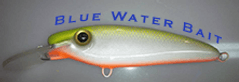 Blue Water Bait