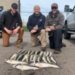 Walleye Fishing Charter Detroit River