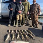 Walleye Fishing Charter Detroit River