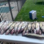 Walleye Fishing Charters