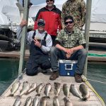 Walleye Fishing Charter Detroit River