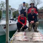 Walleye Fishing Charter Detroit River