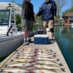 Walleye Fishing Charter Detroit River