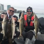 Walleye Fishing Charter Detroit River