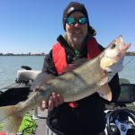 Walleye Fishing Charter Detroit River