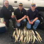 Walleye Fishing Charter Detroit River