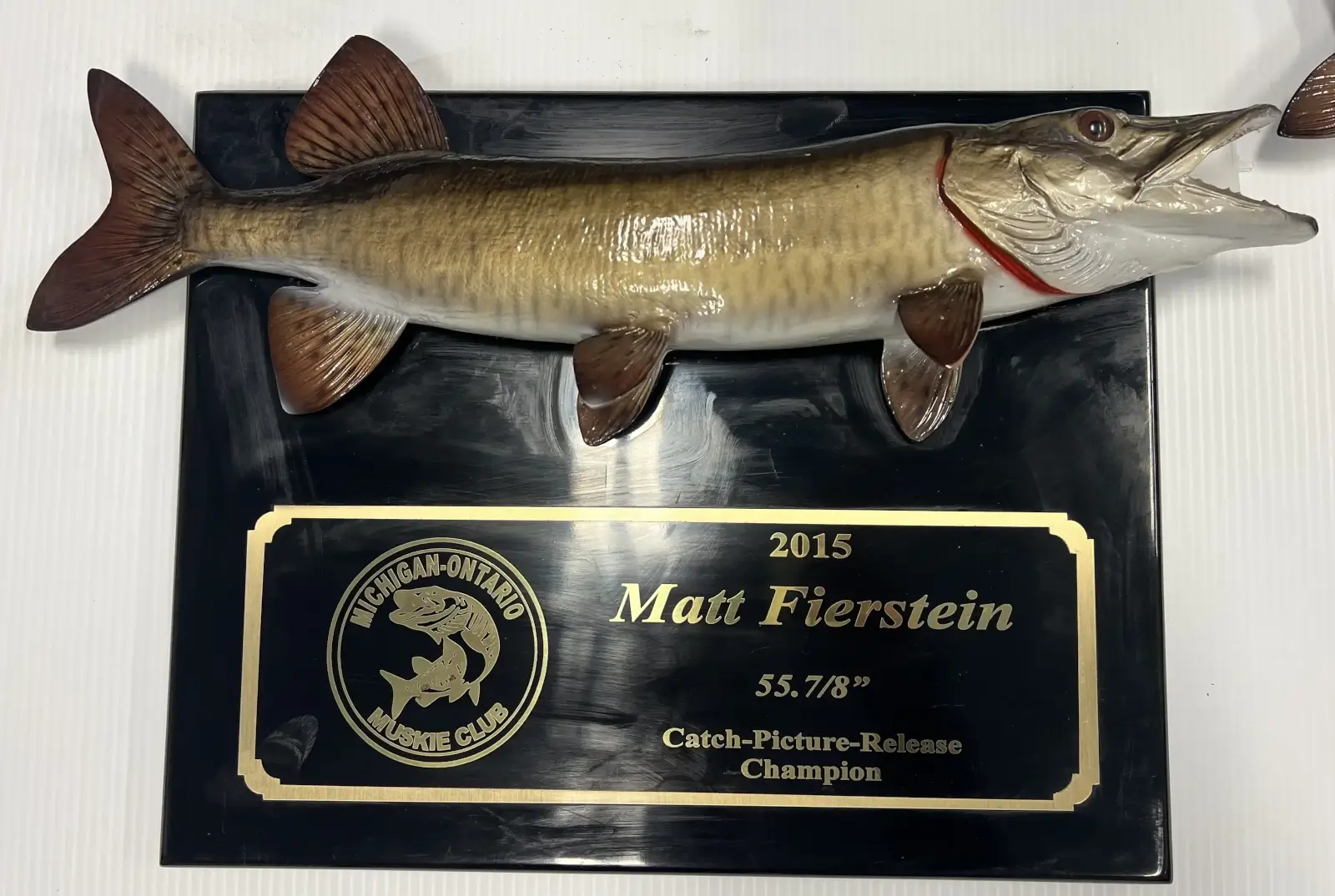 Lake St. Clair fishing champion 2015