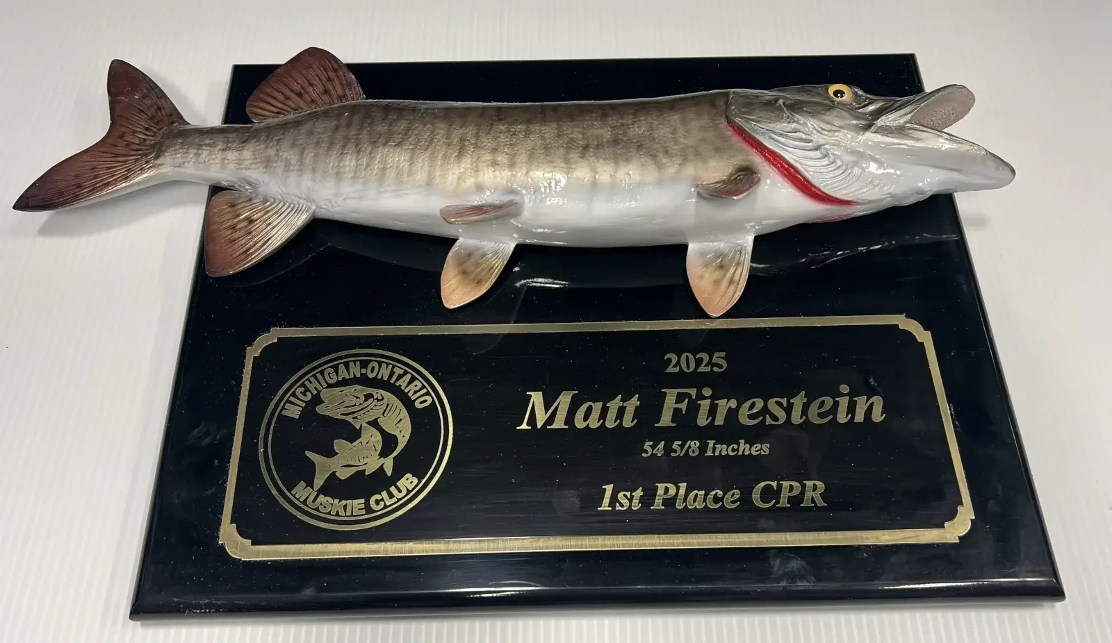 Lake St. Clair fishing champion 2025